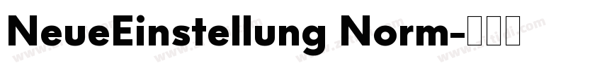 NeueEinstellung Norm字体转换